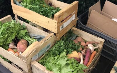 🌱 Merci à tous pour cette 11ᵉ édition du Mardi des Frères de la Terre !