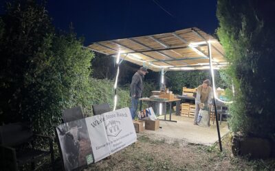 🌙 Ambiance lumineuse et paniers gourmands à la Villa Coworking ✨