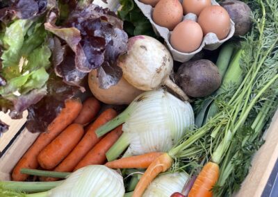 Panier Légumes d'Hiver et œufs Bio